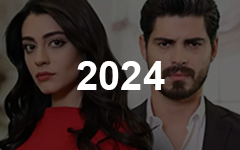 Турецкие фильмы и сериалы 2024 года