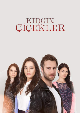 Турецкий сериал «Обиженные цветы» (2015-2018) смотреть онлайн