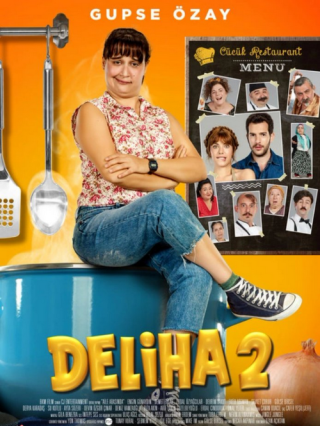 Турецкий фильм «Делиха 2» (2018) смотреть онлайн