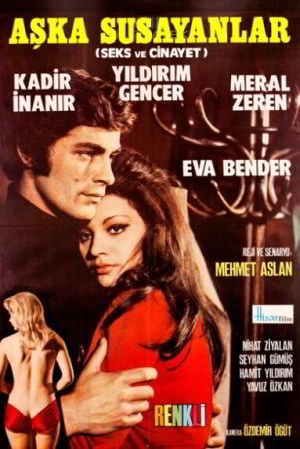 Турецкий фильм «Жажда любви, секса и убийства» (1972) смотреть онлайн