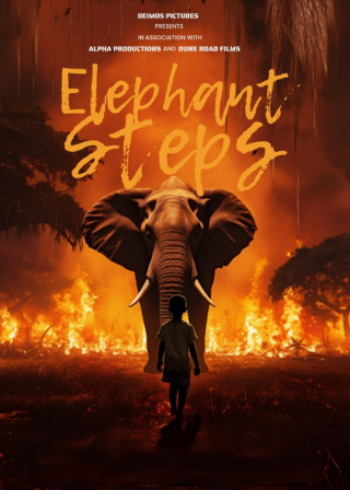 Турецкий фильм «Слоновьи шаги» (2024) смотреть онлайн